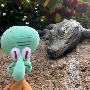 Meet your Posher, David